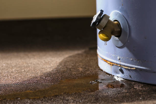 Best Water damage cleanup near me  in Townsend, DE