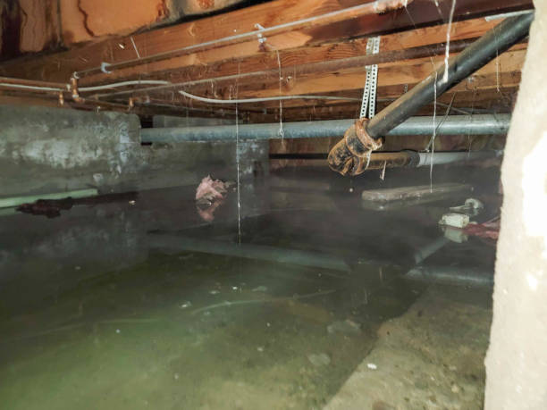  Townsend, DE Water damage restoration Pros