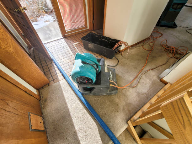 Best 24/7 water damage repair  in Townsend, DE