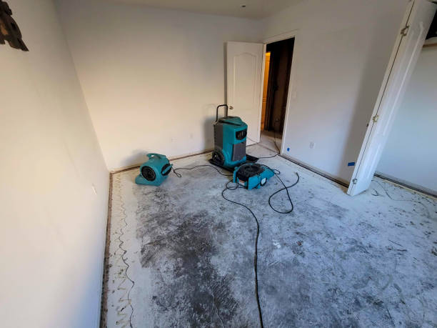 Best Flood restoration services  in Townsend, DE