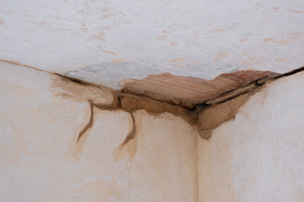 , DE Water damage restoration Company