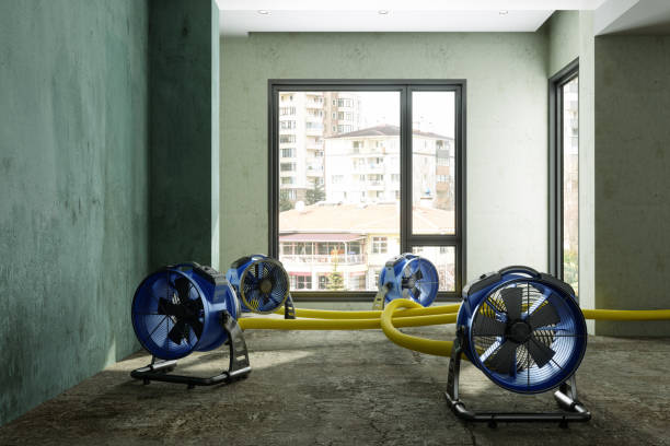 Best Water damage restoration process  in Townsend, DE